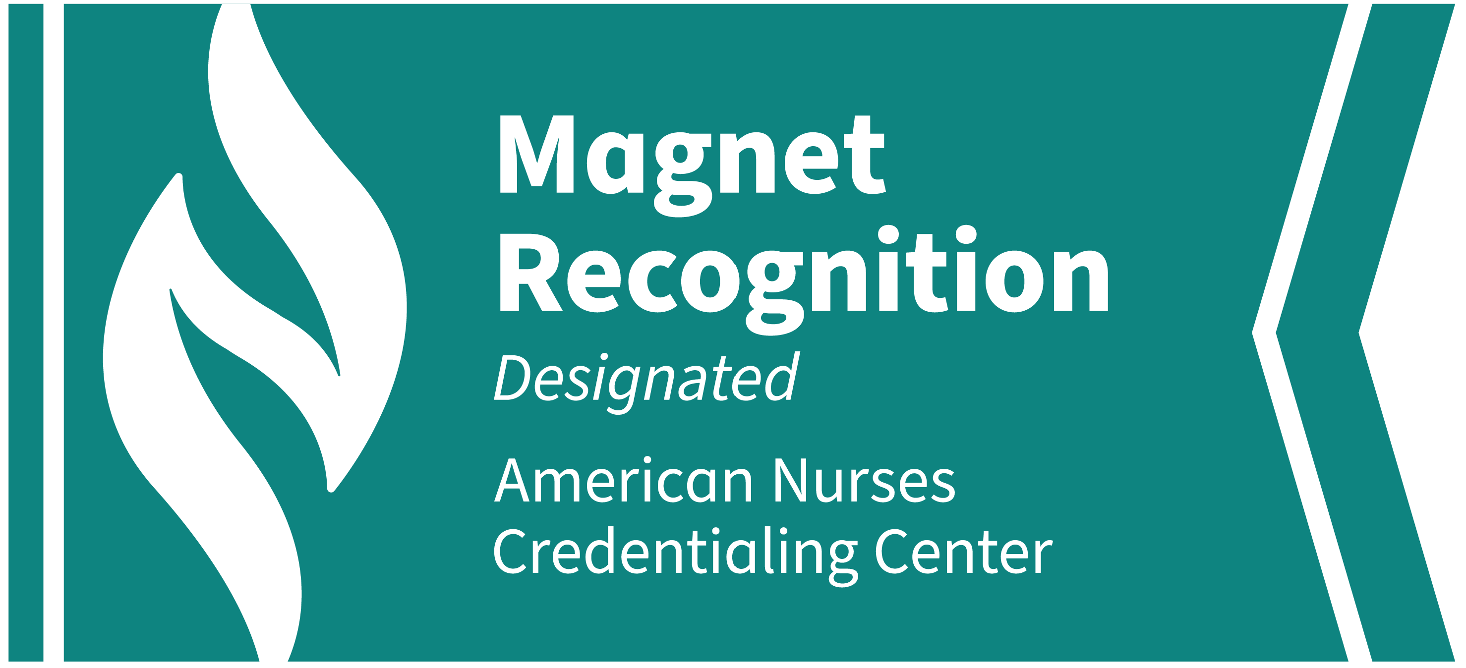 Magnet