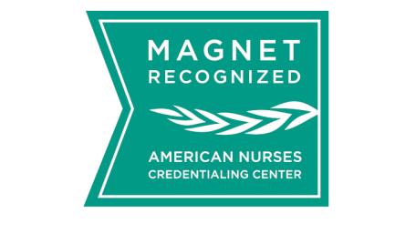 Magnet Recognition for Nursing Excellence — Staff Comments and December Site Visit