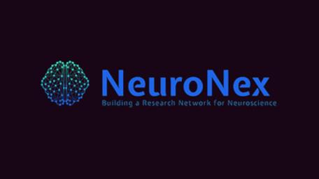 Two Researchers Join International Team on NSF-Funded Project Exploring Neural Control of Movement