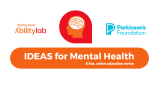 IDEAS program logo