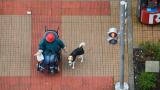 Wheelchair Patient at a crosswalk